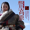 那片高原