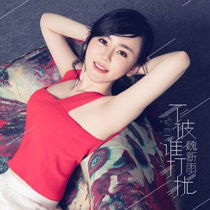 魏新雨专辑 最美的遇见