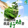 谭维维专辑 让中国更美丽