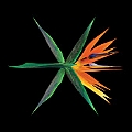 EXO专辑 THE WAR中文版