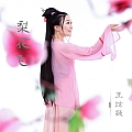 梨花飞