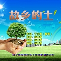 故乡的土