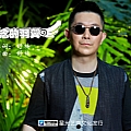 思念的羽翼