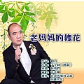 老妈妈的槐花