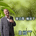 夜已深雨还下