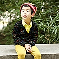 趁少年