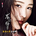 龙梅子专辑 我在北京你在哪